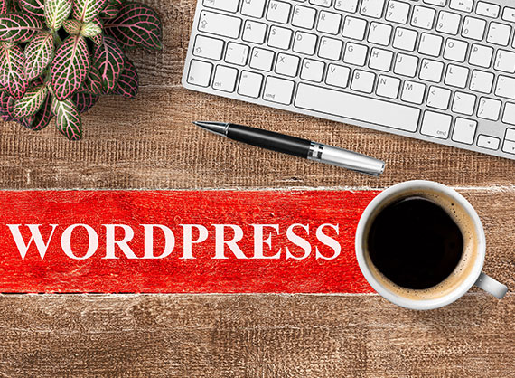 The-Essential-Ten-Ways-to-Protect-the-WordPress-Website